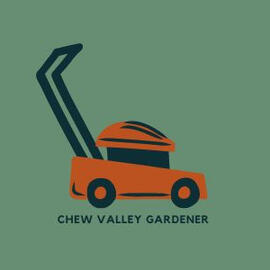 Profile picture on Green background